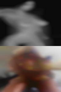 RaphaelShutt1987, to fuck