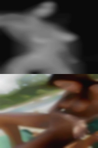GaynelleWauters, Dakota topless
